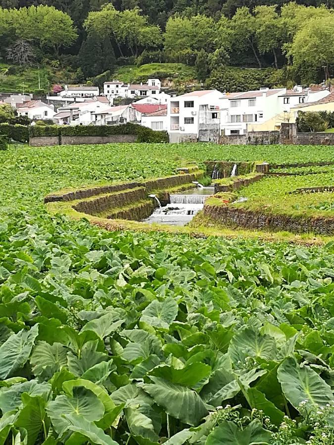 Casa Formosa Βίλα Furnas  Εξωτερικό φωτογραφία