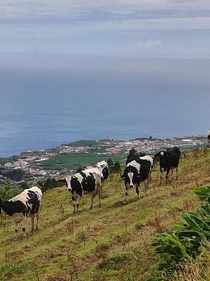 Casa Formosa Βίλα Furnas  Εξωτερικό φωτογραφία